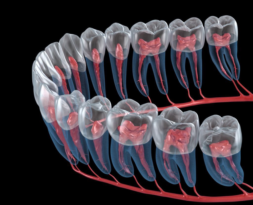 Tratamentul endodontic. Etape și beneficii ale tratamentului de canal.